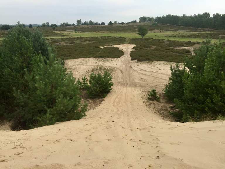 Wanderdüne Wanderungen und Rundwege komoot