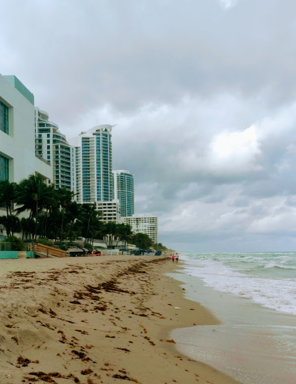 Overcast beach with seaweed, choppy ocean, and tall buildings.