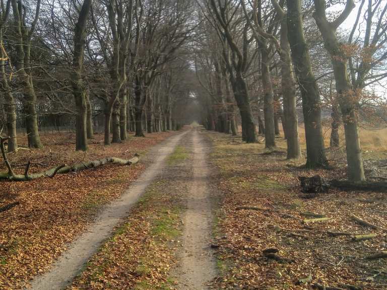 Onverharde weg, Arnhemse Heide fietsroutes en kaart Komoot