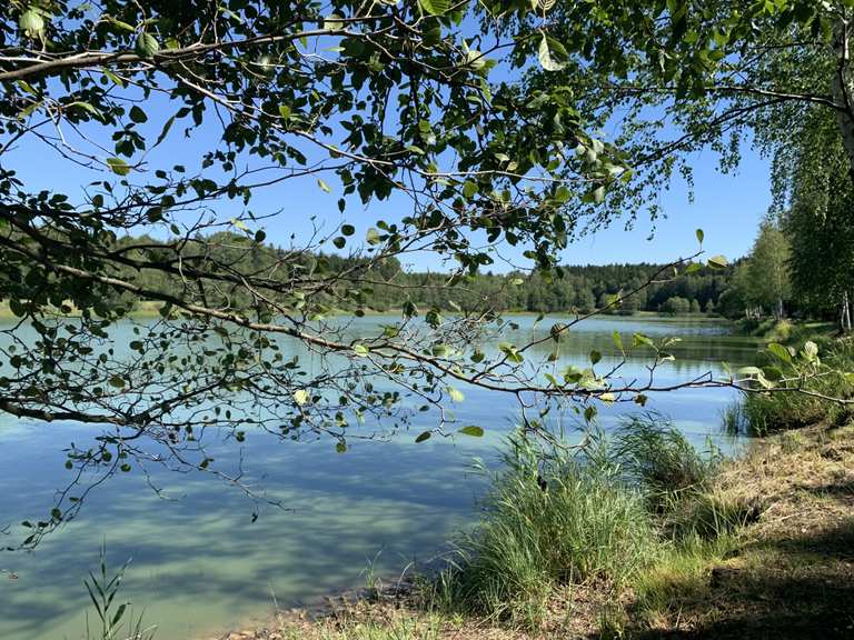 Plothener Teiche Wanderungen und Rundwege komoot