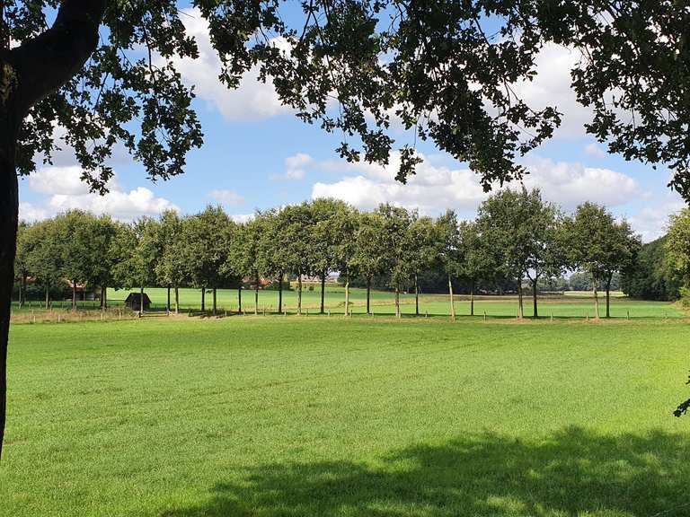 Am Golfplatz Schöner Weg am Golfplatz Runde von Marbeck