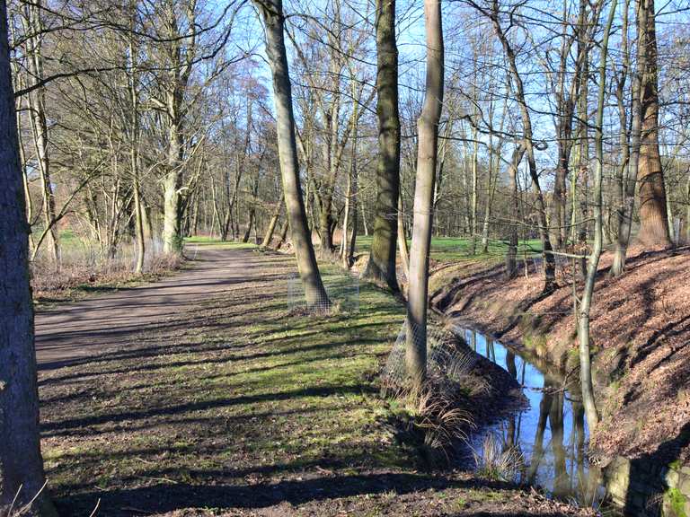 Waldteiche Großer Teich Loop from Bad Nauheim hike Komoot