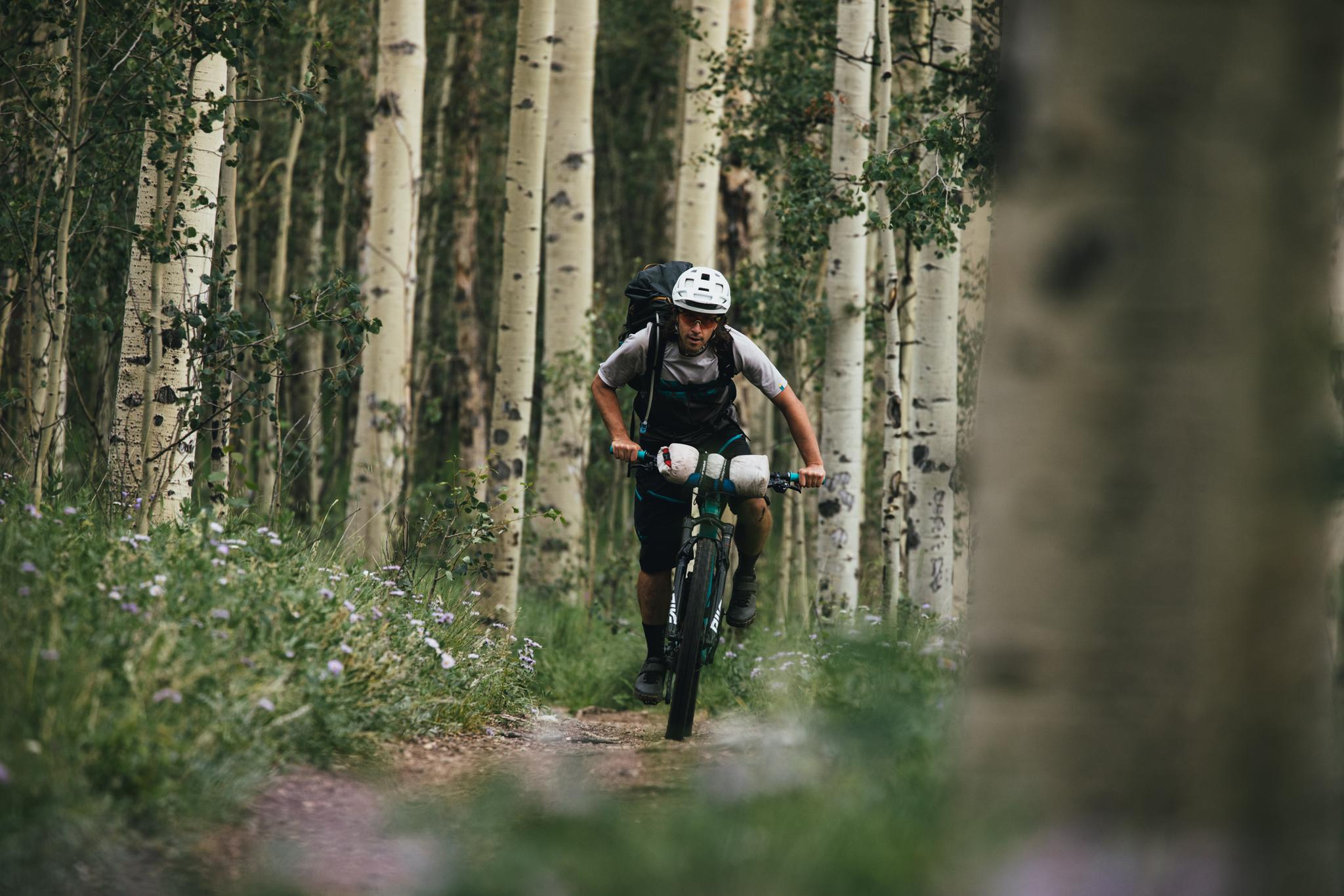 Cyclist with backpack and helmet rides a bike through a dense aspen forest.