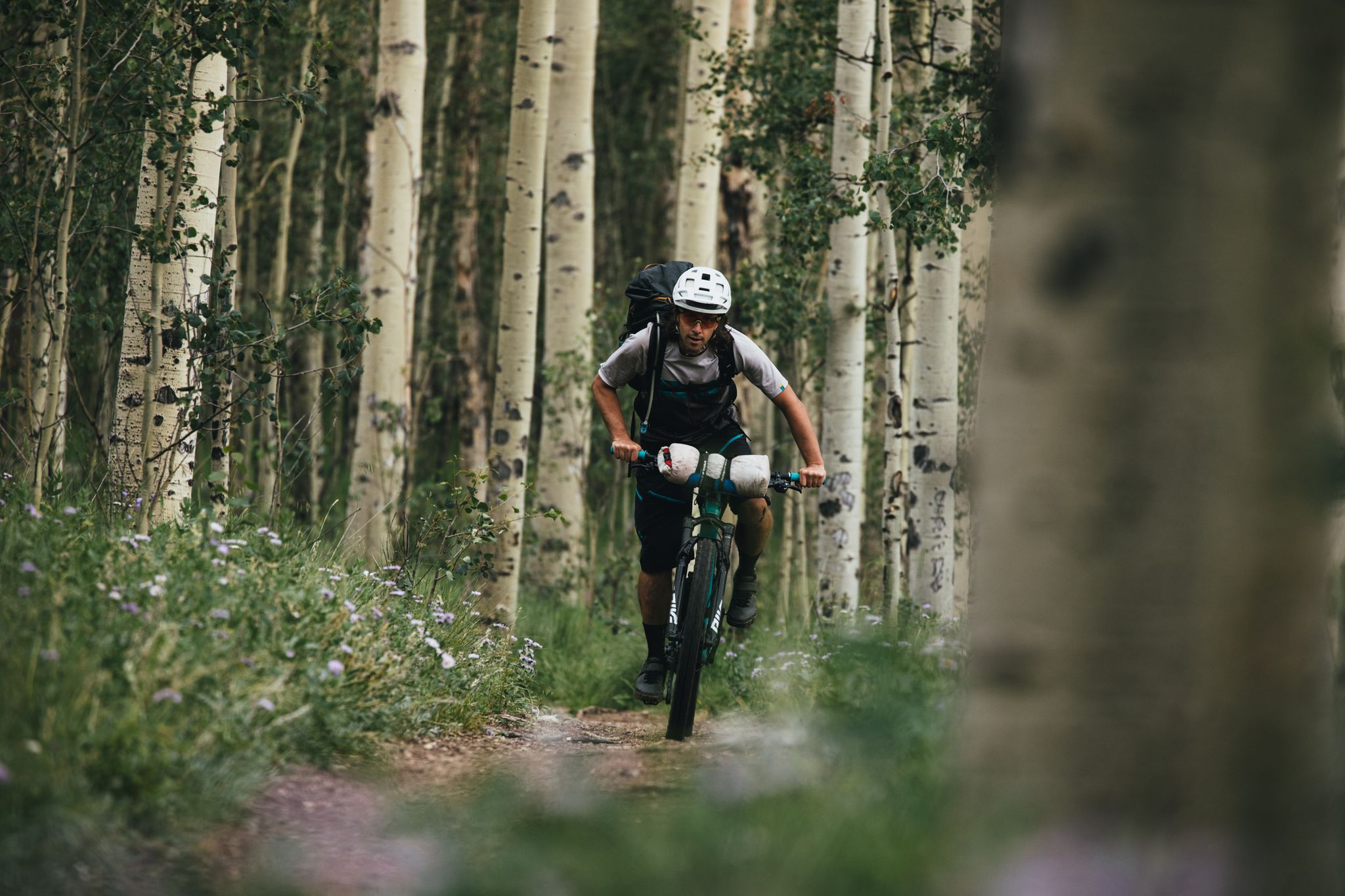 Cyclist with backpack and helmet rides a bike through a dense aspen forest. - Kenosha Pass