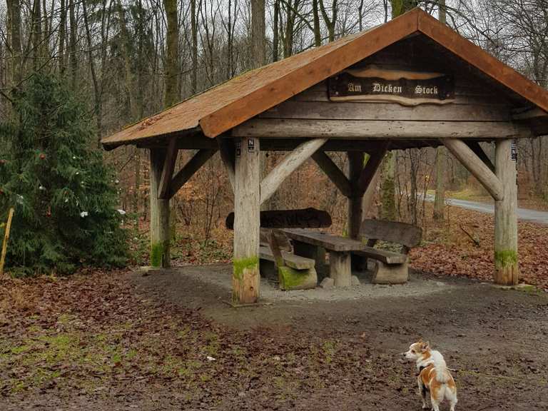 Monte Troodelöh – Der Königsforst Loop from Brück | hike | Komoot