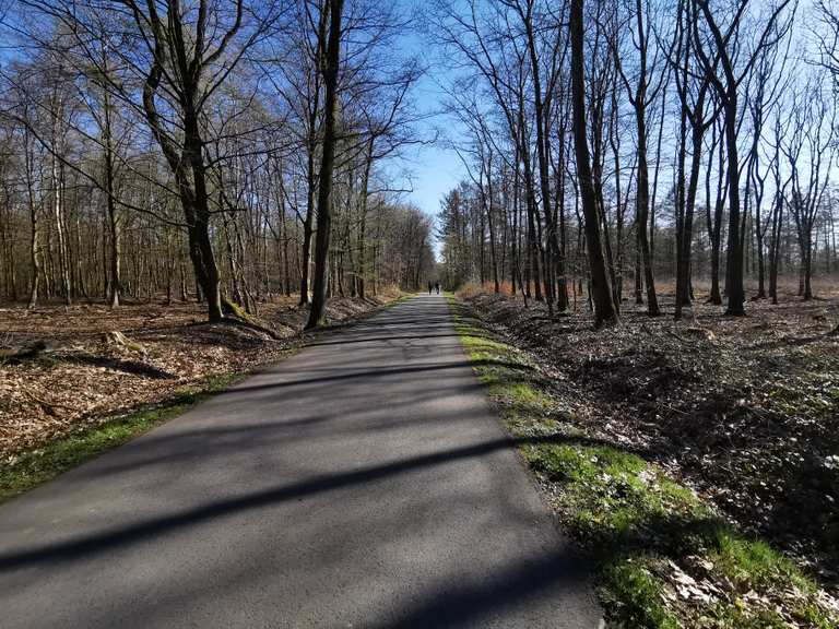 Brandheide Radtouren und Radwege komoot