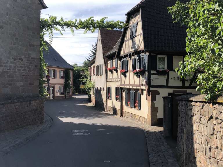 Siebeldingen Radtouren und Radwege komoot