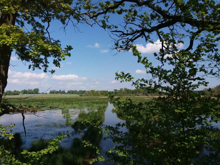 Kreuzteich Riddagshausen Teiche in Riddagshausen Runde von