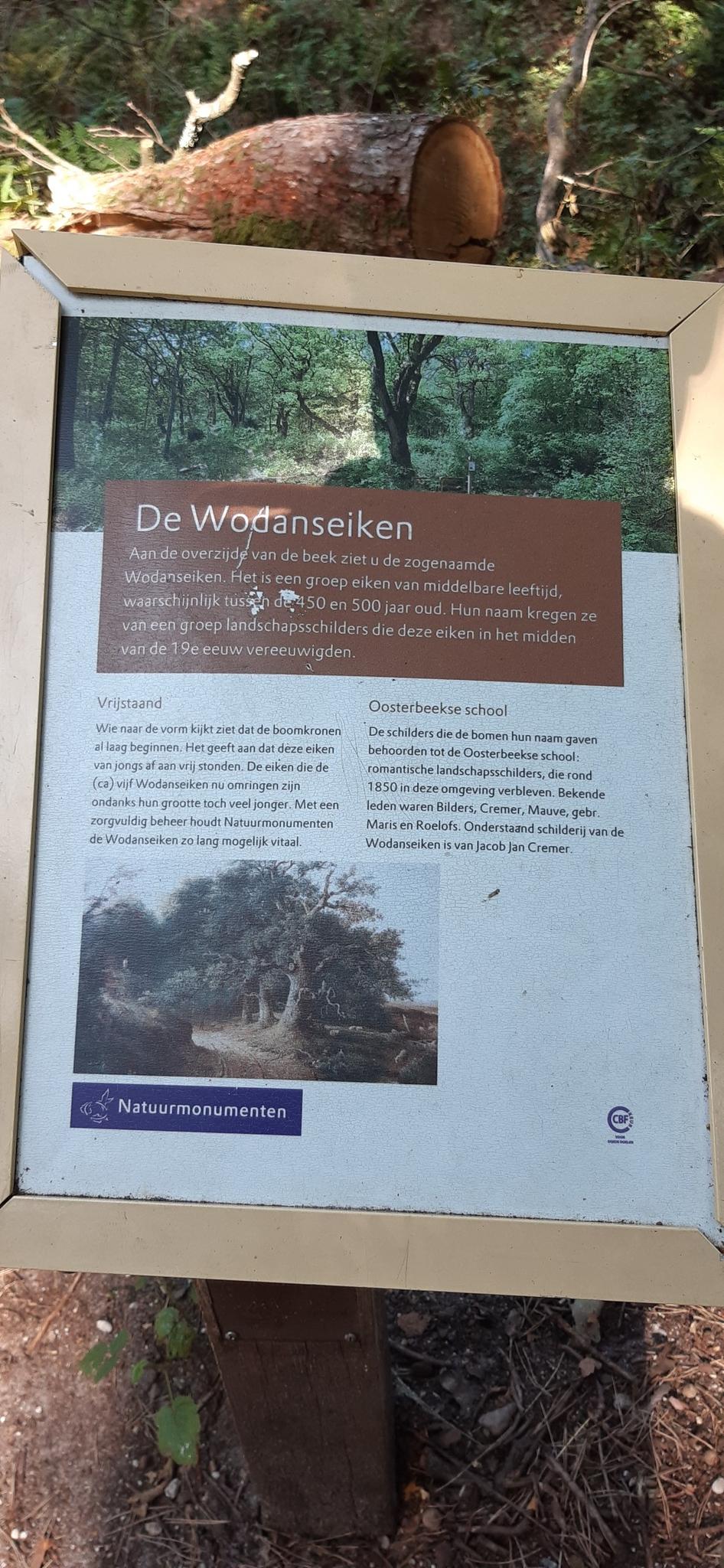 Wodanseiken Routes for Walking and Hiking  Komoot