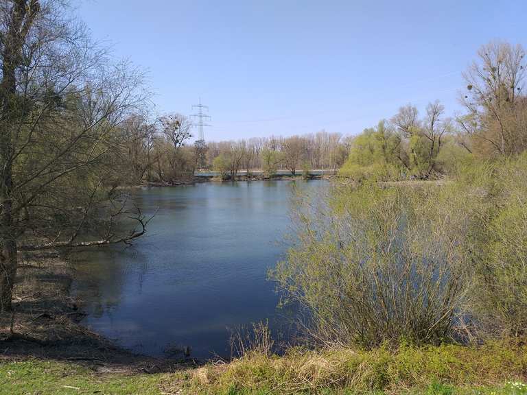 singletrail ettlingen