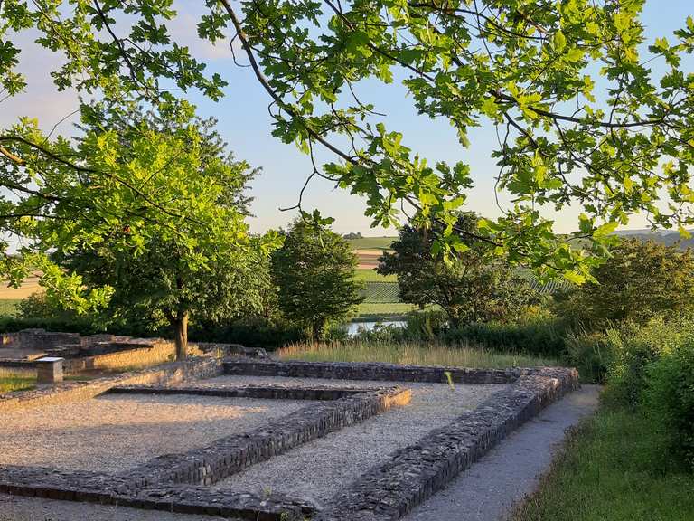 Römerhof bei Lauffen Krappenfelsen Runde von Lauffen am Neckar