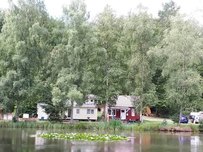 Schönsee Routes for Walking and Hiking | Komoot