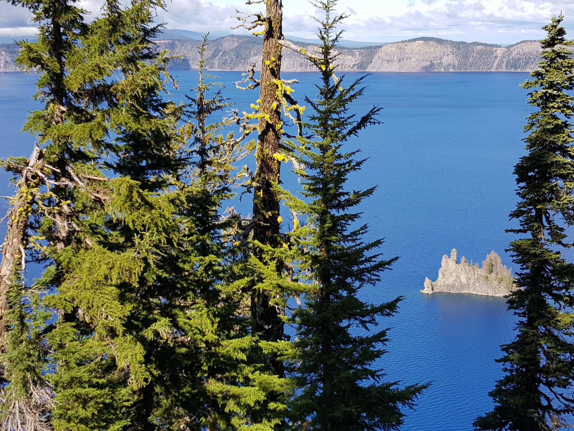 Pine trees frame a deep blue lake with a small rocky island.