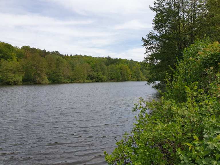 Glashütter Weiher Radtouren und Radwege komoot
