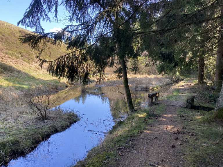Zankwieser Teich MTBroutes en trails Komoot