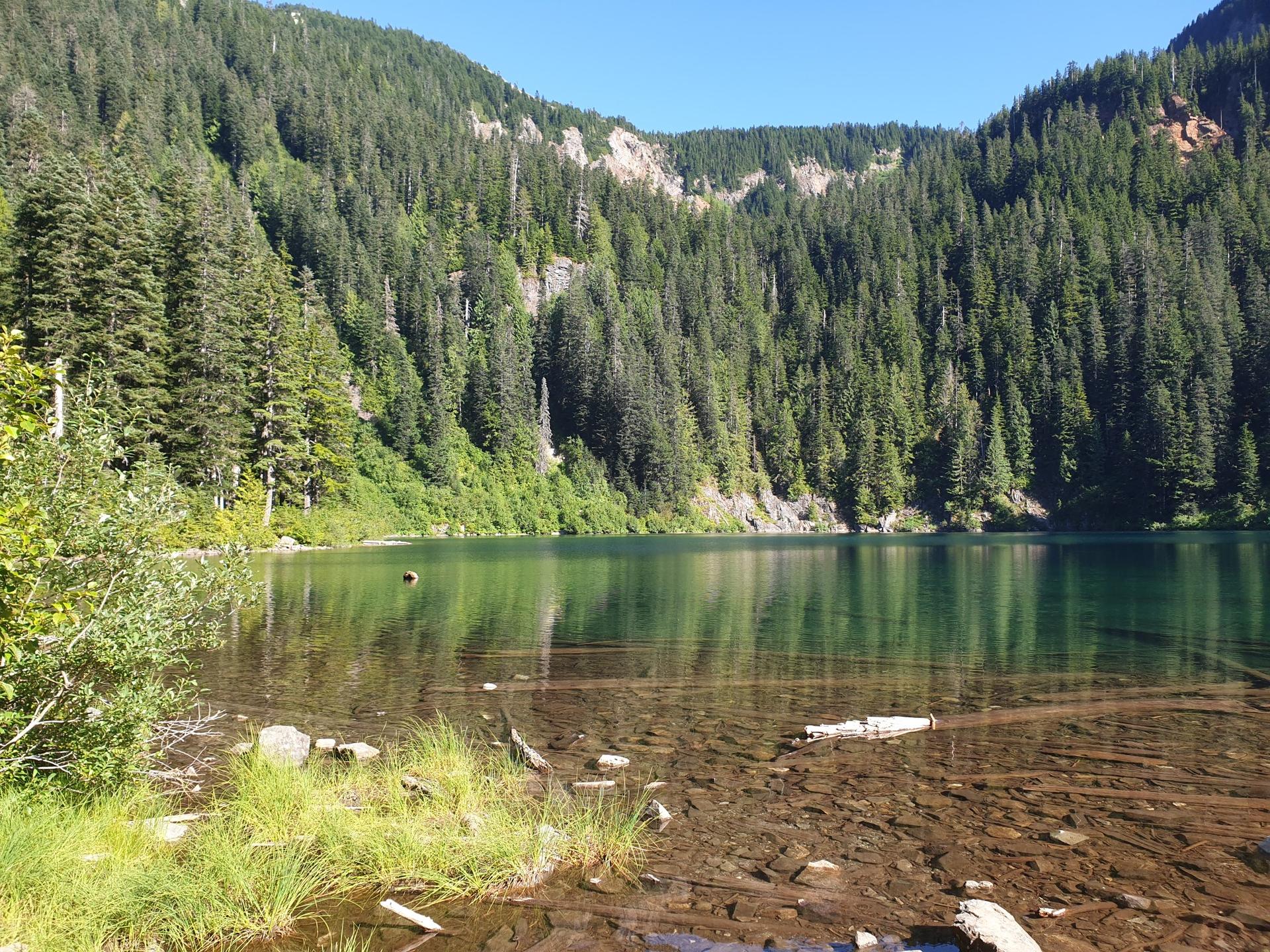 Clear lake surrounded by dense evergreen forest on a sunny day.
