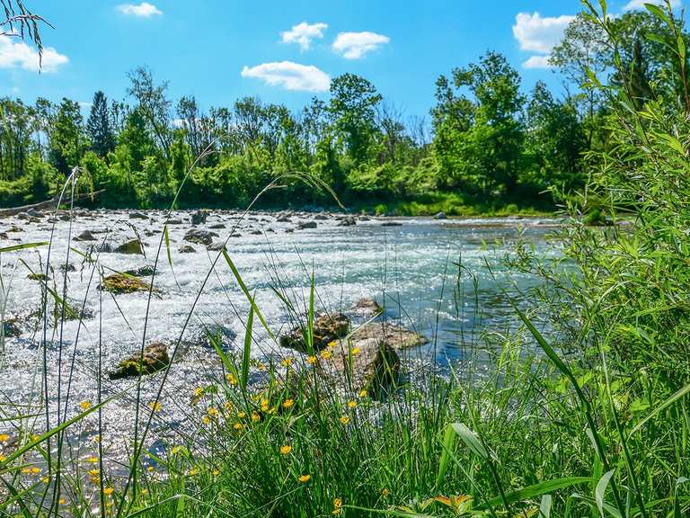 Isarauen MountainbikeTouren und Trails komoot