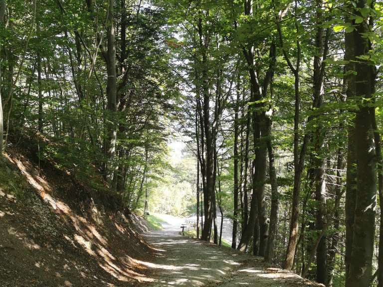 Baita ai Fortini di Napoleone percorsi escursionistici e trekking Komoot