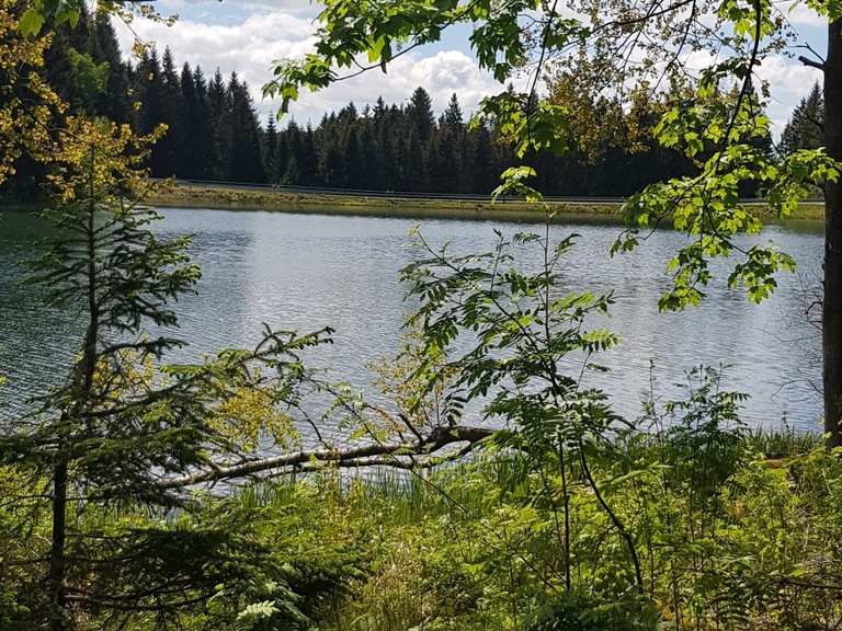 Kuttelbacher Teich Routes for Walking and Hiking Komoot