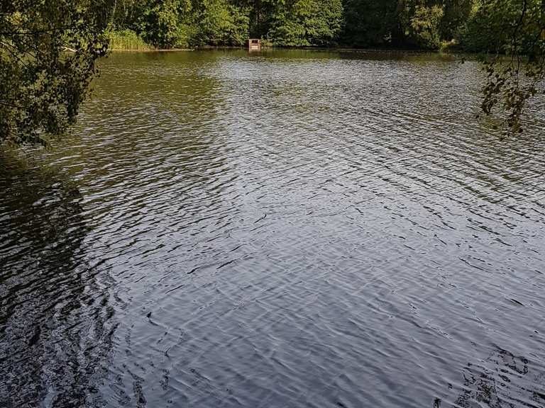 Bredenbeker Teich Routes for Walking and Hiking Komoot