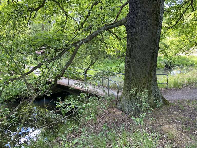Rund um dem Großen Teich Wanderungen und Rundwege komoot