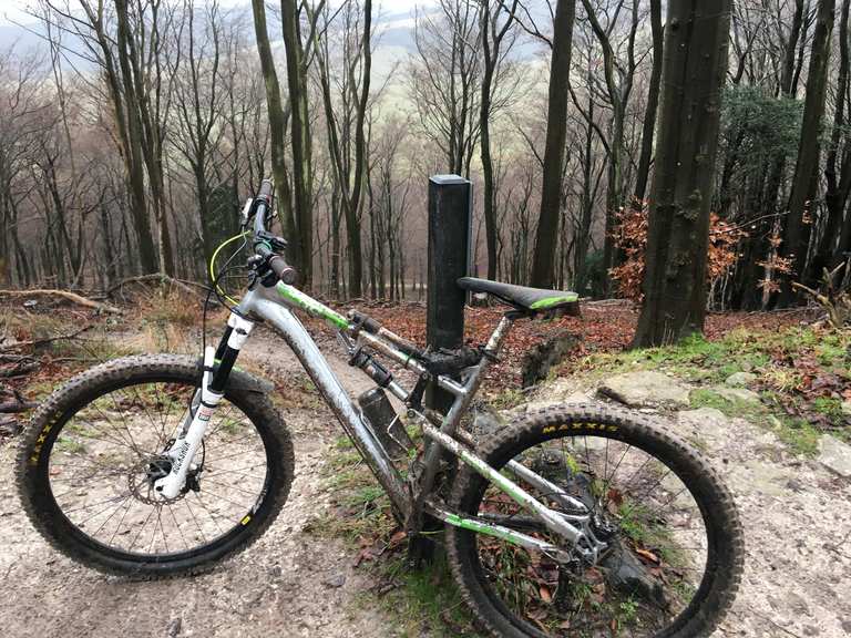 Queen Elizabeth Country Park mountain bike trails Cycle Routes and