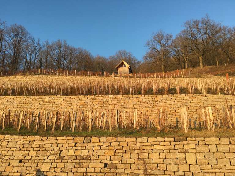 Geschichtsweinberg Iphofen Wandelroutes En Hikes Komoot