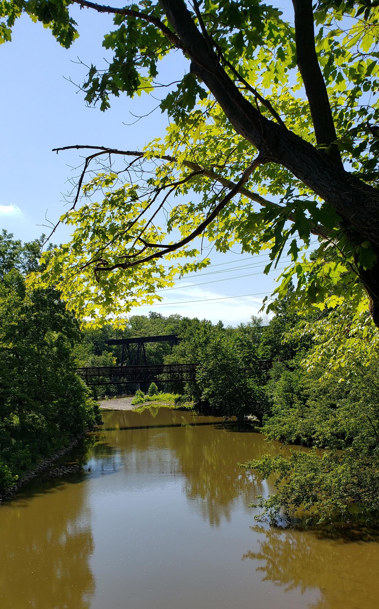 River flowing under a dark bridge, framed by green trees on a bright day.