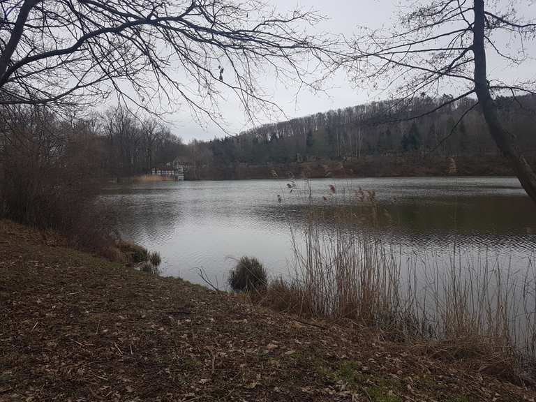 Vatteröder Teich Wanderungen und Rundwege komoot