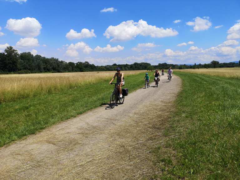 Radweg Auf Der Kollerinsel Radtouren Und Radwege Komoot