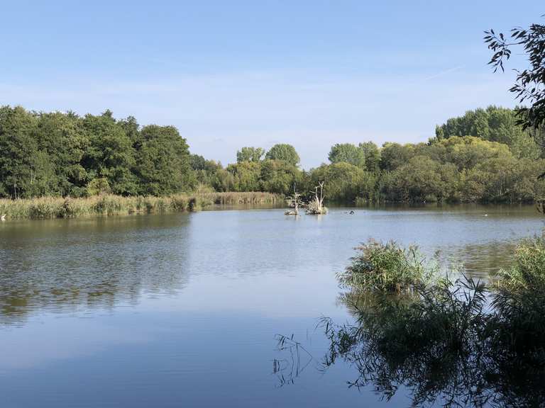 Karower Teiche Berlin, Deutschland Wandertipps & Fotos Komoot