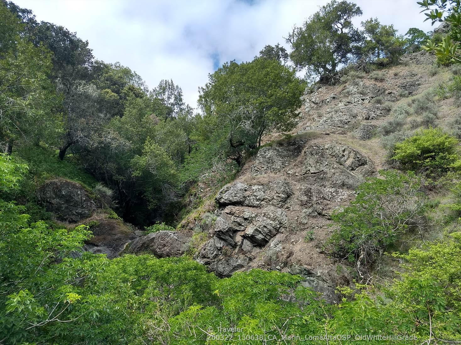 A steep rocky hillside covered in green trees and shrubs under a cloudy sky.