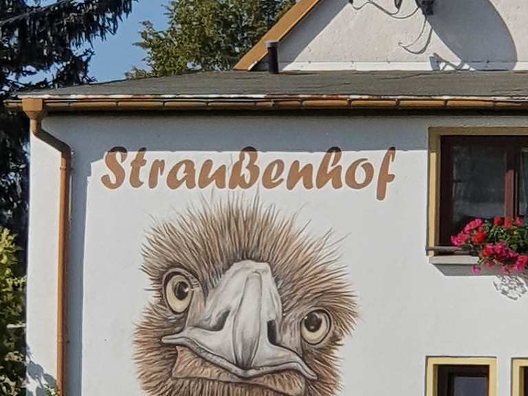 Straußenhof Striegistal Wanderungen und Rundwege komoot