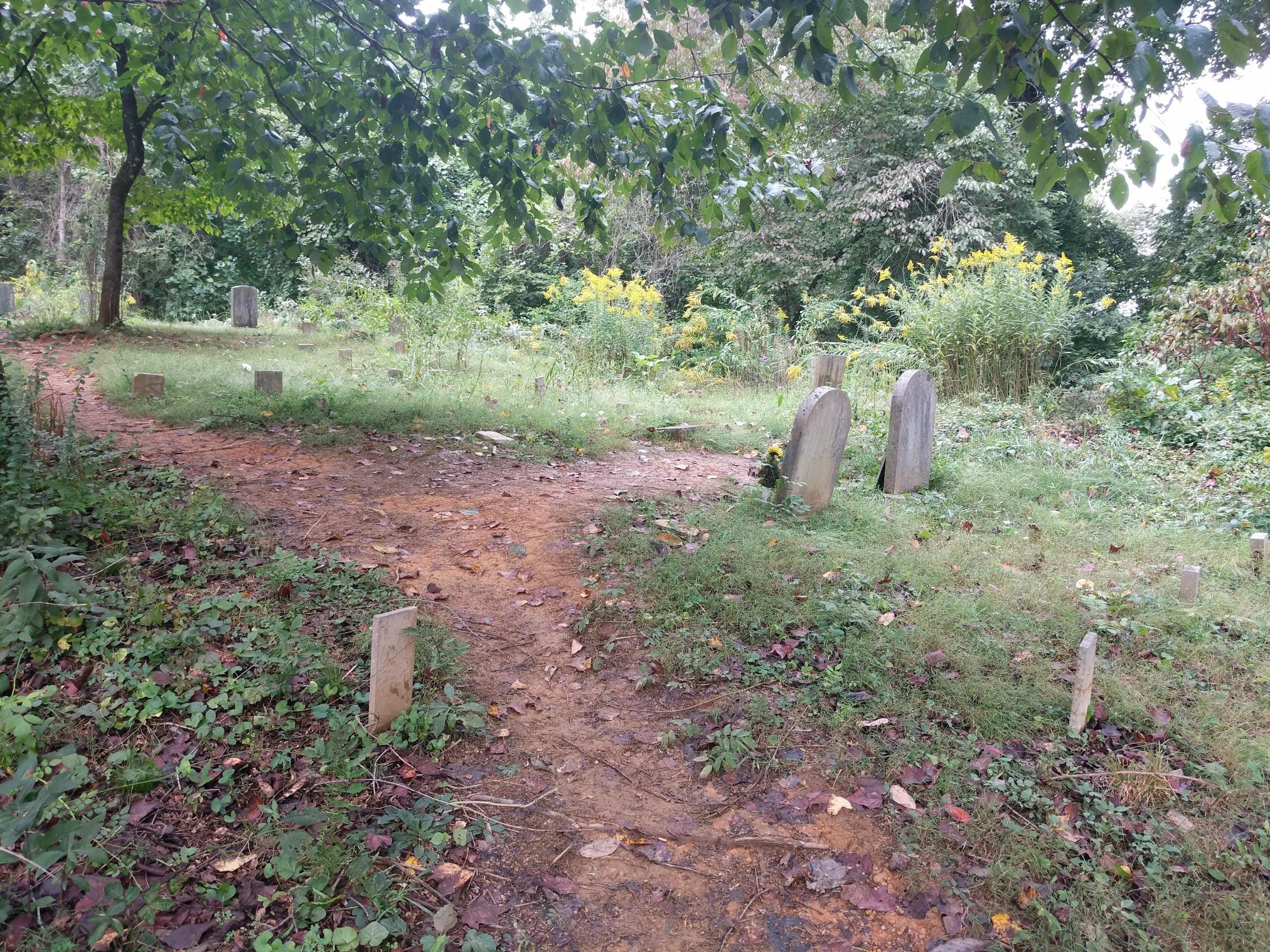 Overgrown cemetery with old gravestones and dirt paths under an overcast sky.