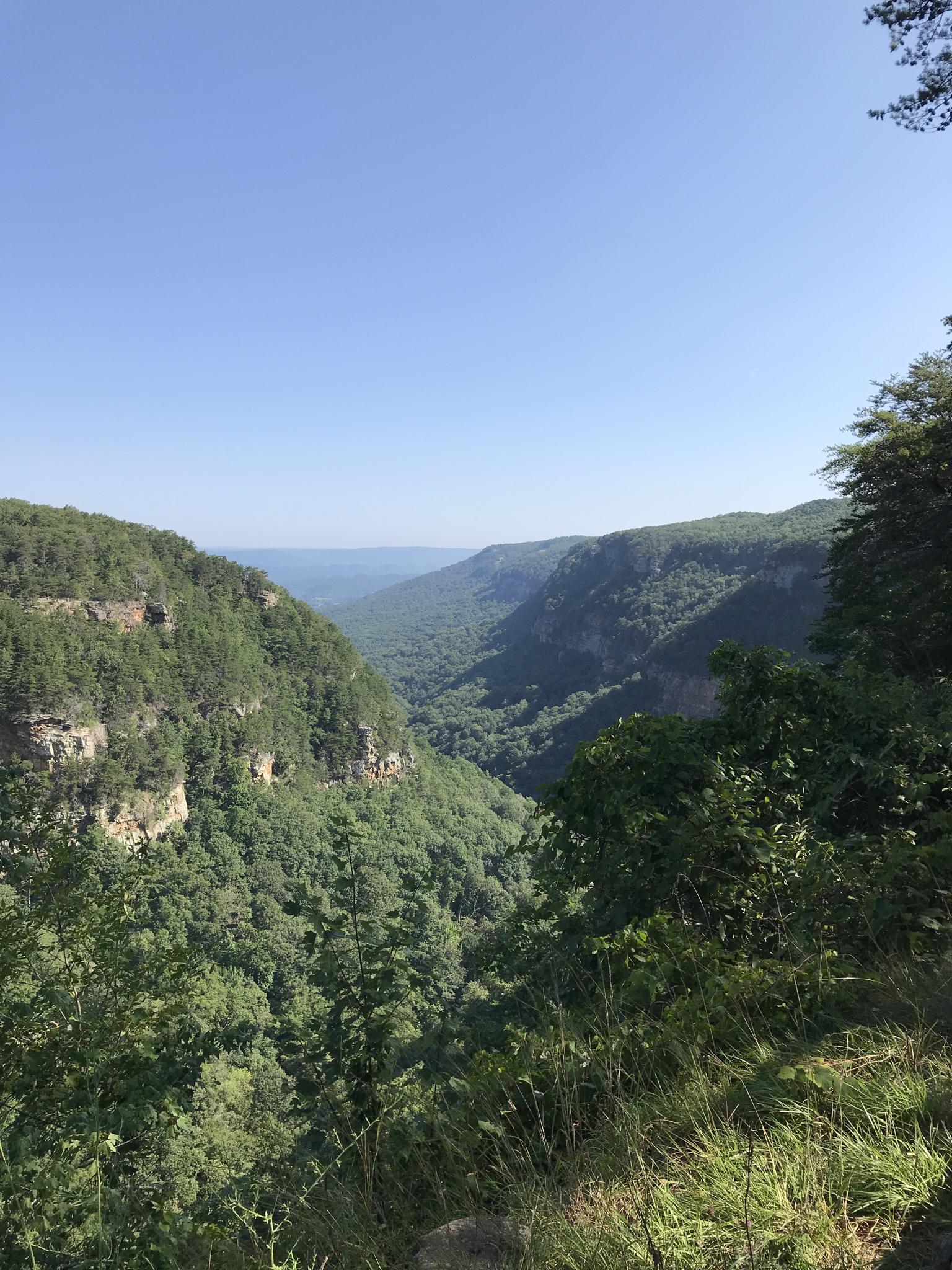 Expansive view of a deep, green forested valley under a clear blue sky.