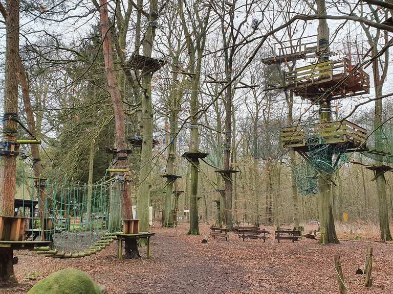 kletterpark-hamburg-sachsenwald-routes-for-walking-and-hiking-komoot