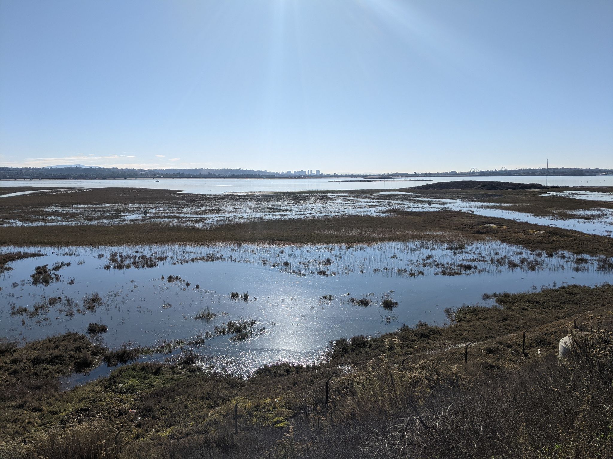 Sunny wetlands with reflective water and green marsh grasses under a clear sky. - Mission Bay Bike Path