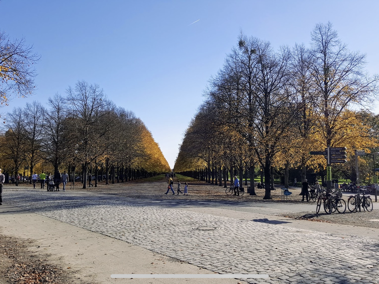 fahrrad tour in hannover 50 km