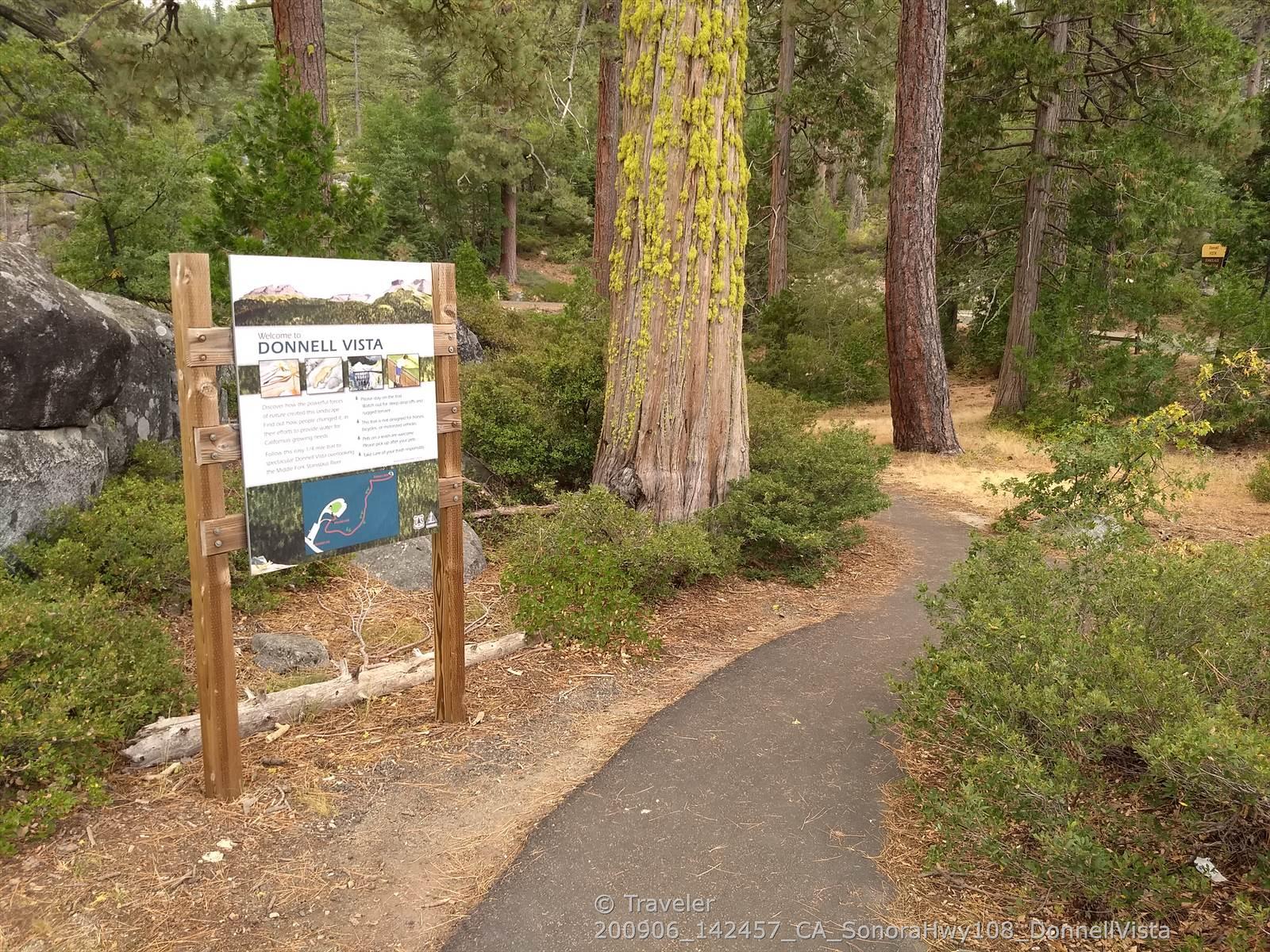 Paved path through a forest with an information sign and tall trees.