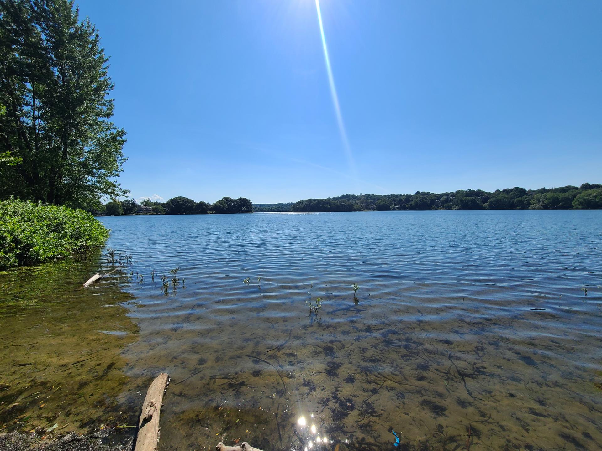 Sunny wide shot of a lake with trees and bright sun flare.