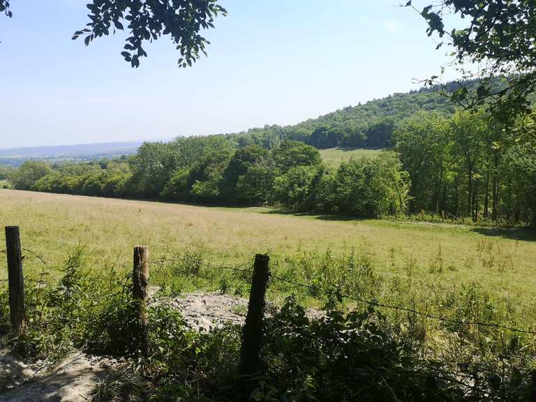 Queen Elizabeth Country Park mountain bike trails Cycle Routes and