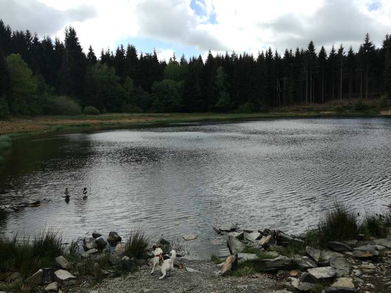 Heiliger Teich (im Moment Baustelle) Wanderungen und Rundwege komoot