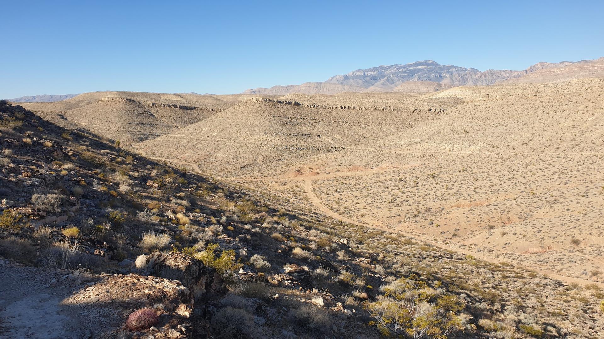 Desert landscape with rolling hills, sparse vegetation, and distant mountains under a clear sky.