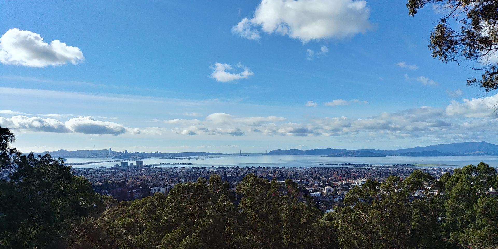 Clear view of a city and water from a green, tree-lined hillside.