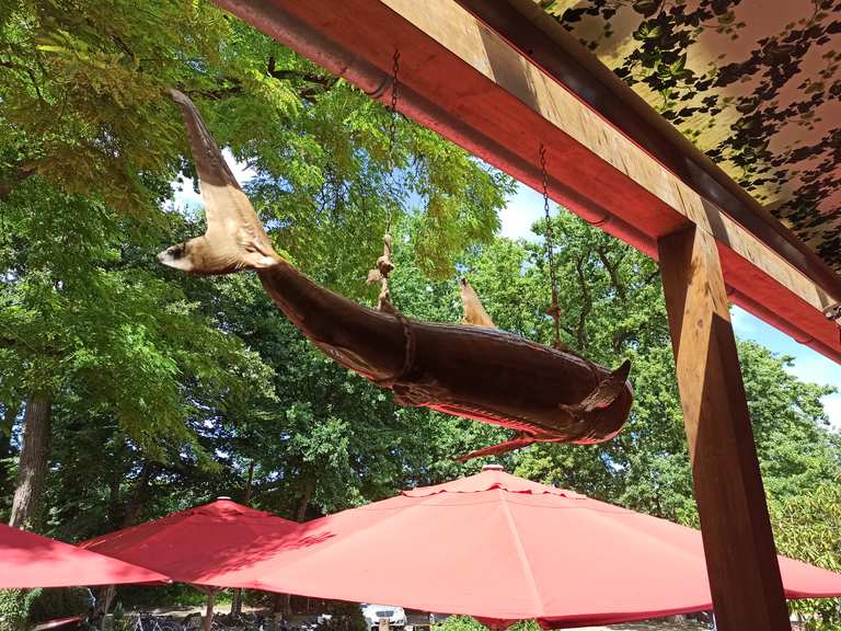 Fish restaurant 