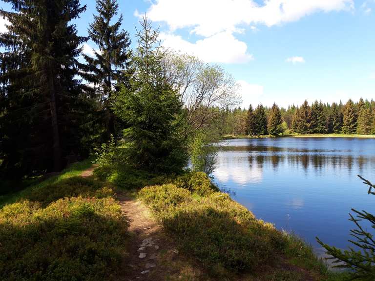 Wüster Teich wandelroutes en hikes Komoot