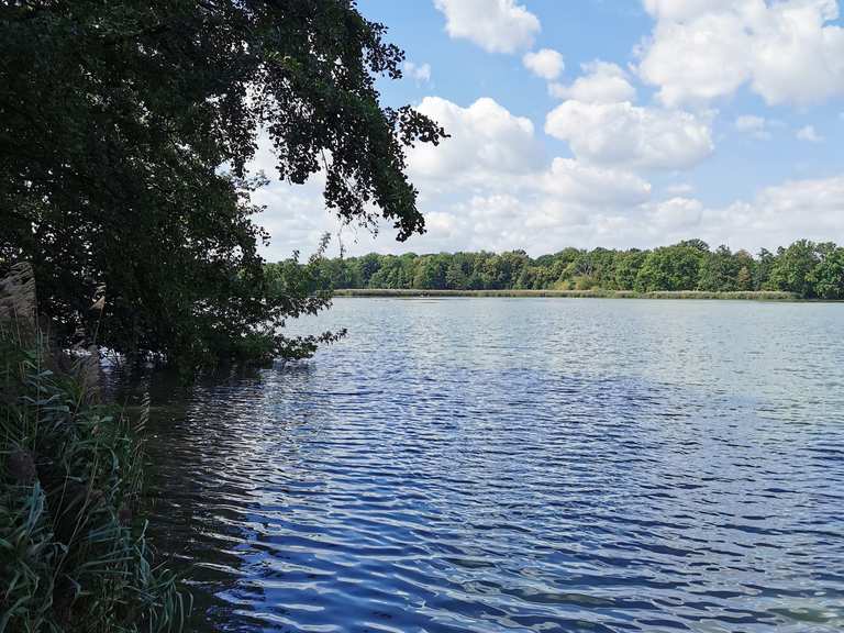 Schöner Radweg am Teich Runde um den Bärwalder See Rondje vanuit