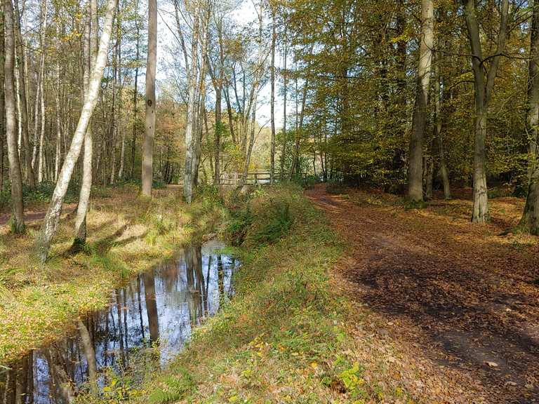 Am Wanderungen und Rundwege komoot