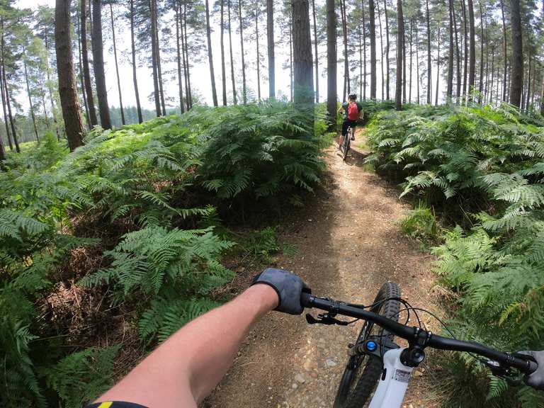 argos bike foot pump