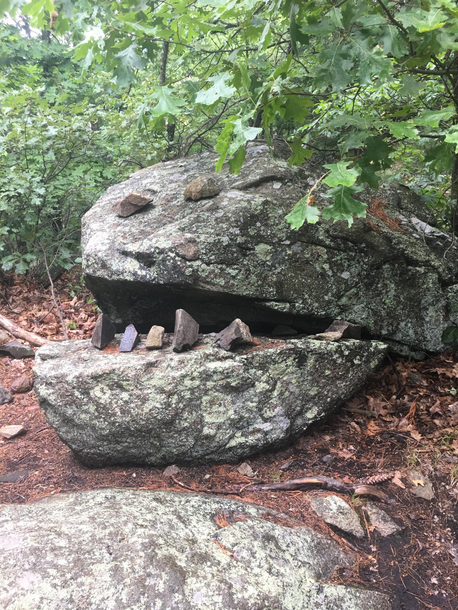 Unique rock formation resembling a mouth, with small stones placed inside, in a forest.